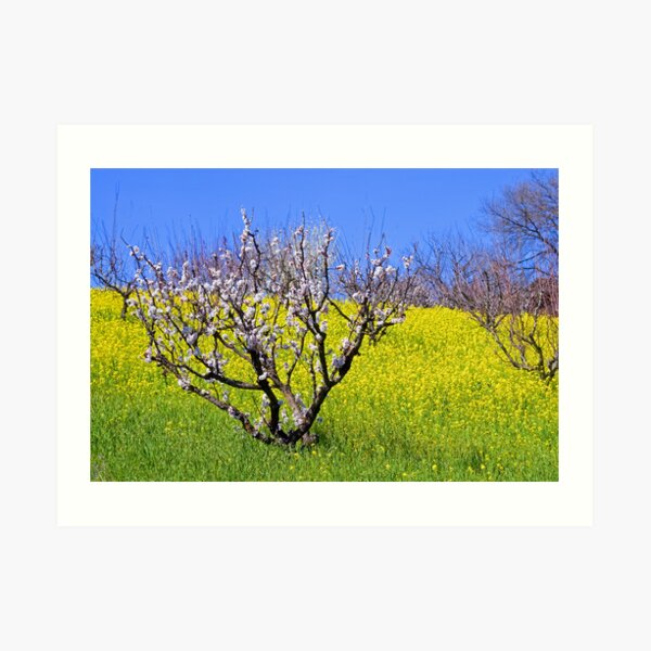 The Hills Are Alive Art Print