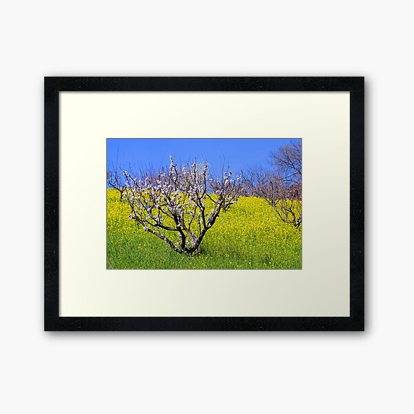 The Hills Are Alive Framed Art Print