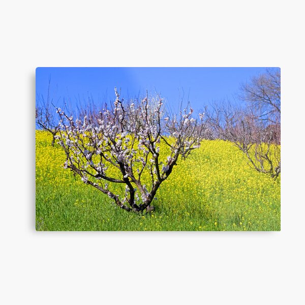 The Hills Are Alive Metal Print