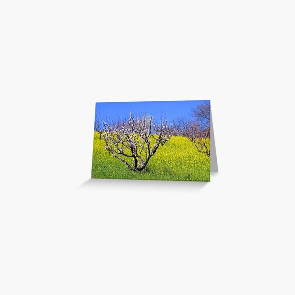 The Hills Are Alive Greeting Card