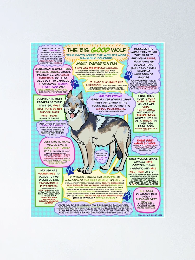 my postersucks 「DRINKING LIKE A WOLF」 Drinking Like A Wolf – mypostersucks