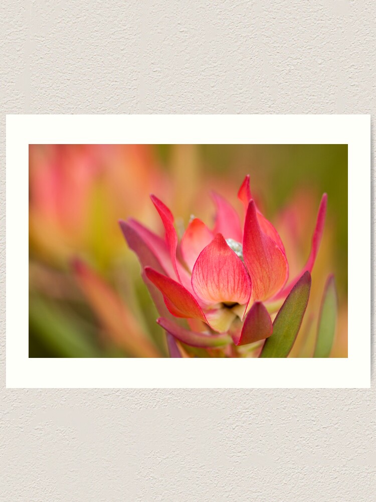 Alternate view of Desire Art Print