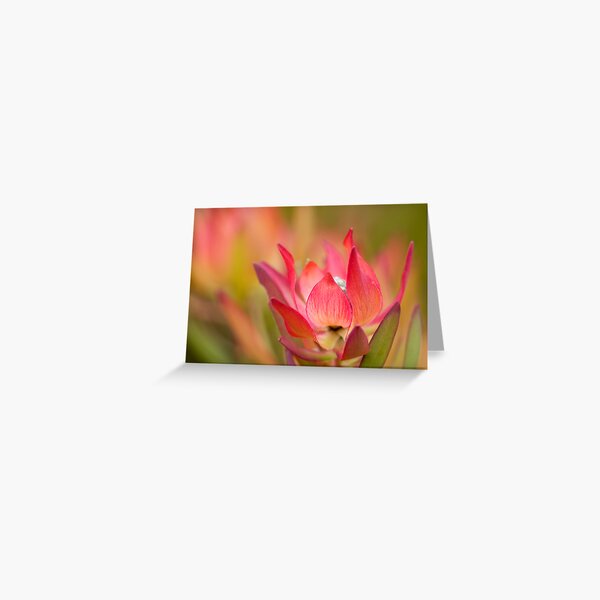 Desire Greeting Card