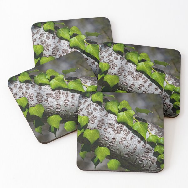 Item preview, Creeping Ivy designed and sold by PhotosByFelix.