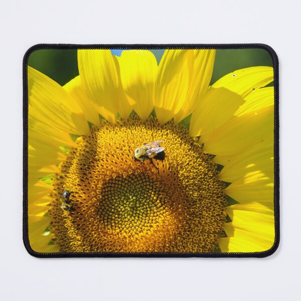 Item preview, Sunflower Bees designed and sold by MaryTimman.
