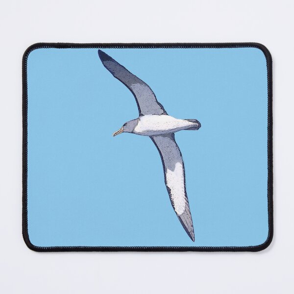 Item preview,  Chatham Albatross Color Print Painting Design   designed and sold by designsasstultd.
