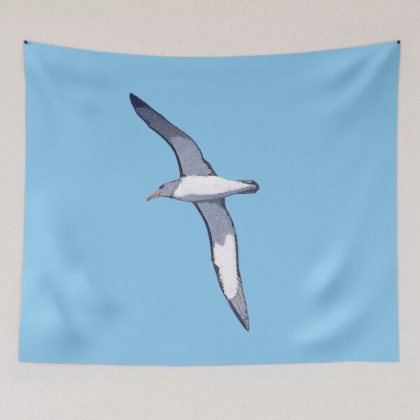Item preview,  Chatham Albatross Color Print Painting Design   designed and sold by designsasstultd.