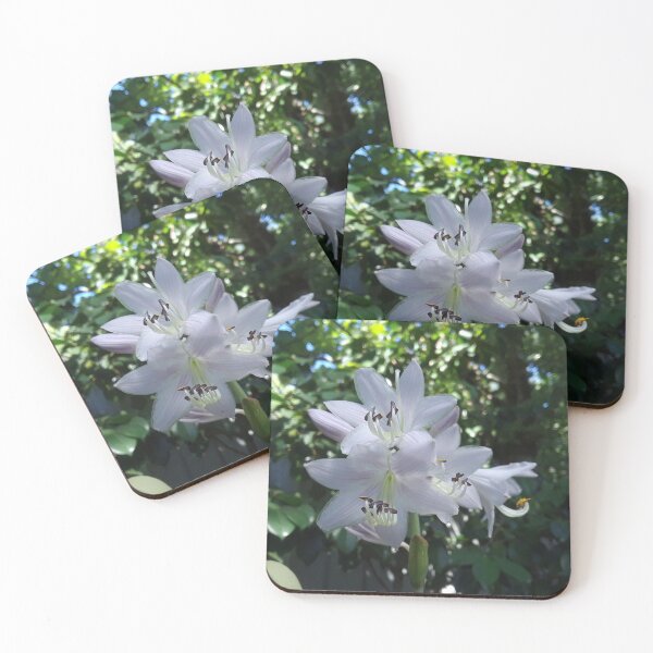Item preview, Floral - White Hosta Flowers designed and sold by MulesParty.
