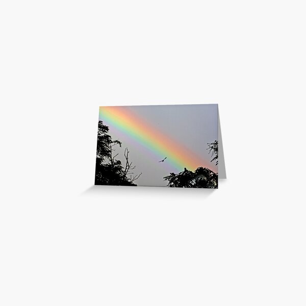Item preview, Bird flying through the Rainbow  designed and sold by Susan Weber-Tacey.