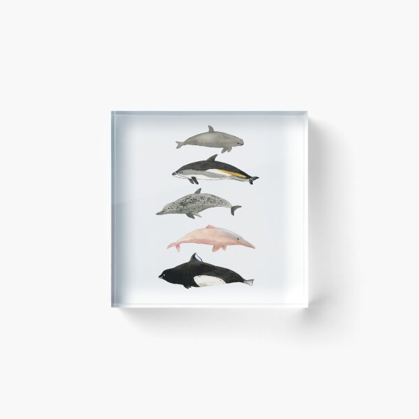 Item preview, Dolphins and porpoises designed and sold by Tina van Dijk.