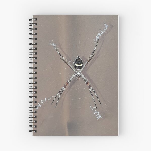 Item preview, Spider Spinning A Web designed and sold by Rhia-Black.