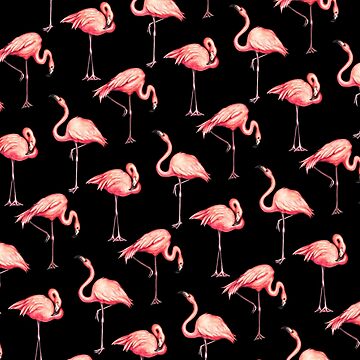 Artwork thumbnail, Flamingo Pattern - Black by KellyGilleran