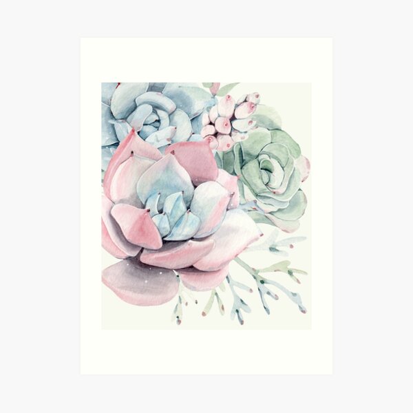 Elegant Succulents Pink and Blue and Green Desert Succulent Illustration Art Print