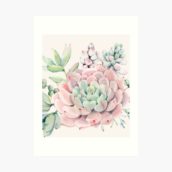 Pretty Succulents Pink and Green Desert Succulent Illustration Art Print