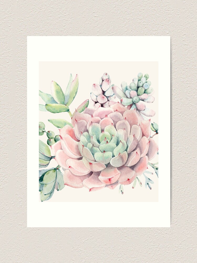 Alternate view of Pretty Succulents Pink and Green Desert Succulent Illustration Art Print