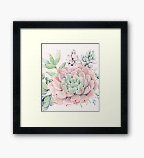 Pretty Succulents Pink and Green Desert Succulent Illustration Framed Print