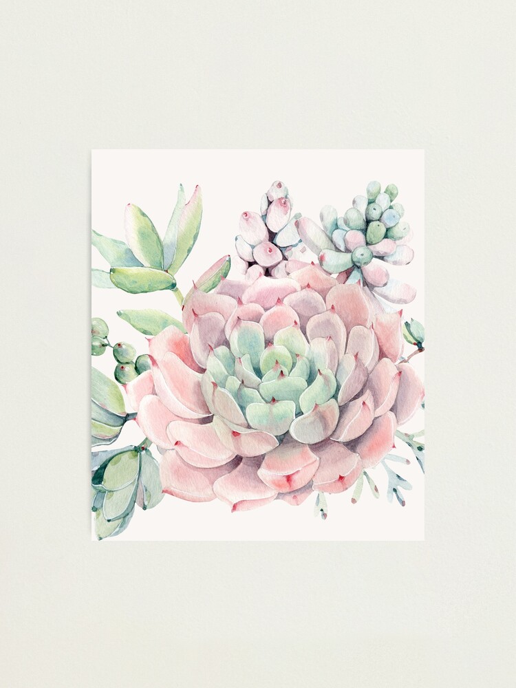 Alternate view of Pretty Succulents Pink and Green Desert Succulent Illustration Photographic Print