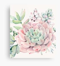 Pretty Succulents Pink and Green Desert Succulent Illustration Metal Print