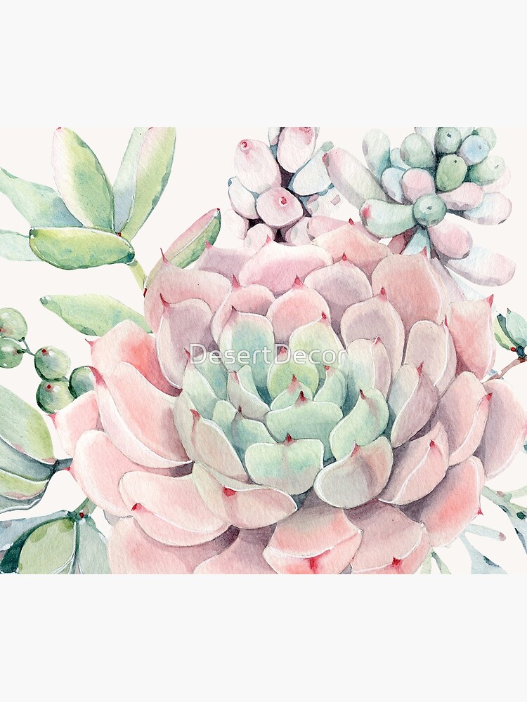 Pretty Succulents Pink and Green Desert Succulent Illustration by DesertDecor