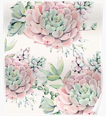 Trendy Succulents Pink and Green Desert Succulent Design Poster