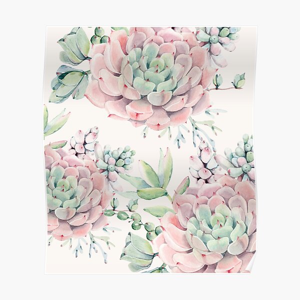 Trendy Succulents Pink and Green Desert Succulent Design Poster