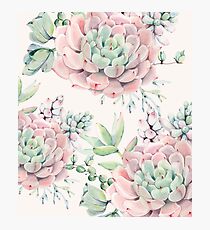 Trendy Succulents Pink and Green Desert Succulent Design Photographic Print