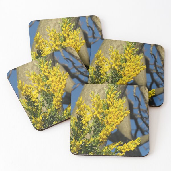 Item preview, French broom flowers  designed and sold by greentiger1.
