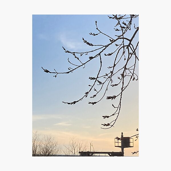 let it not be forgotten (3:4) Photographic Print