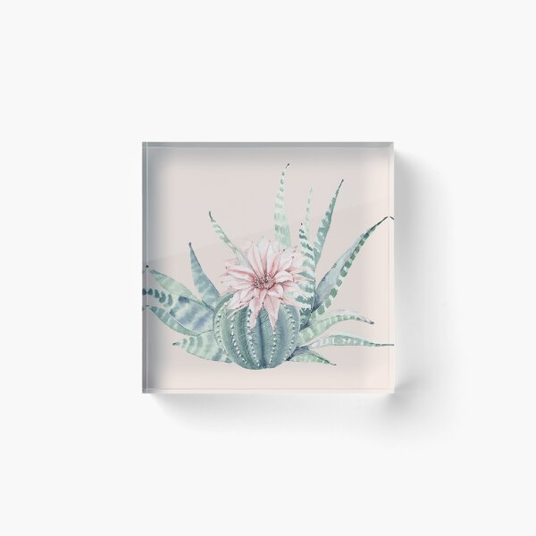 Item preview, Pretty Succulents Pastel Pink and Mint Green Desert Succulent Illustration designed and sold by DesertDecor.