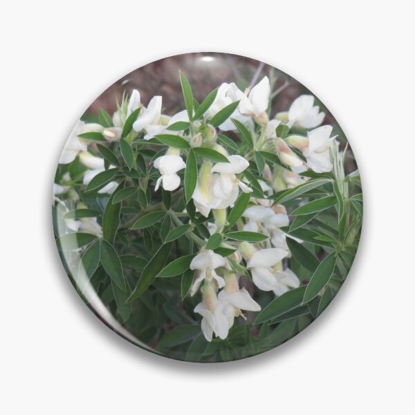 Item preview, Tree lucerne flowers designed and sold by greentiger1.