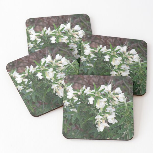 Item preview, Tree lucerne flowers designed and sold by greentiger1.