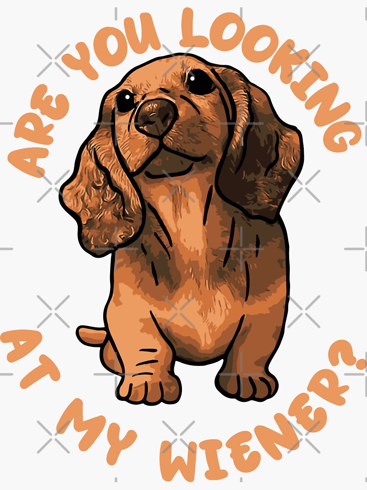 Adesivo Vinilico Personalizzato Per Auto, Barca O Camion - Foto 3