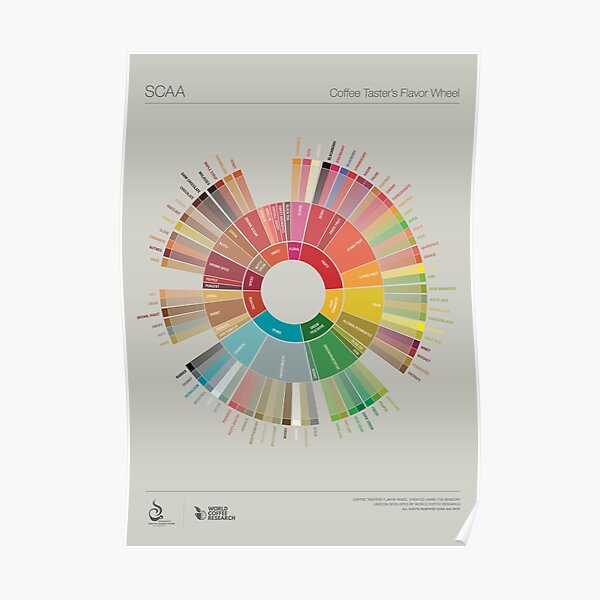 Popchart wheel;coffee Poster Poster