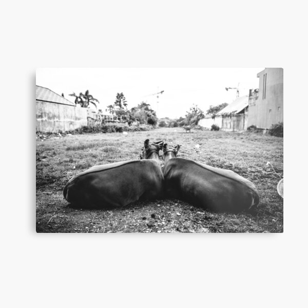 l o v e Metal Print