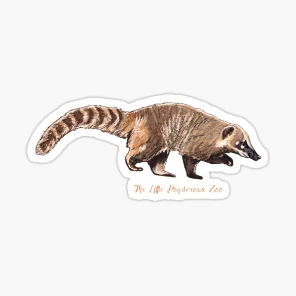 "Coatimundi" Sticker for Sale by Danielbowles | Redbubble