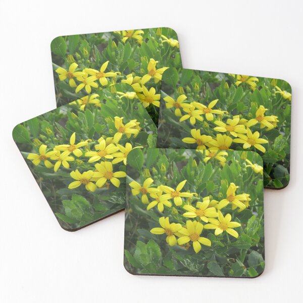 Item preview, Bitou bush flowers designed and sold by greentiger1.