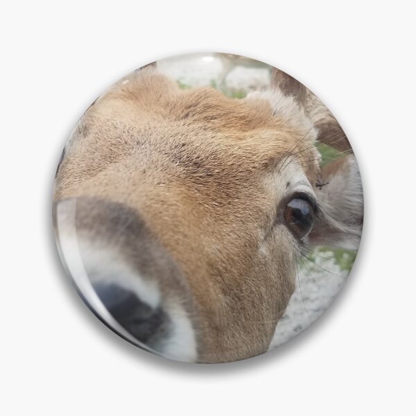 Item preview, Cute Deer Face designed and sold by MinaBohl.