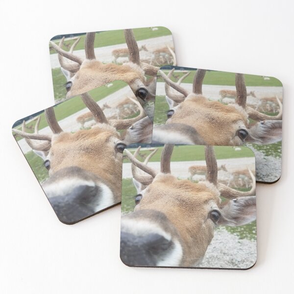Item preview, Cute Deer Face designed and sold by MinaBohl.