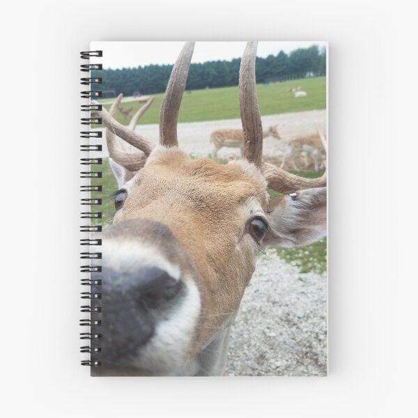 Item preview, Cute Deer Face designed and sold by MinaBohl.