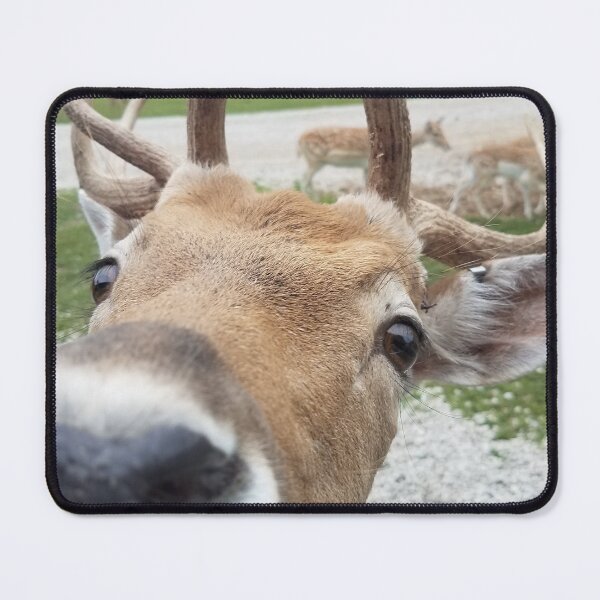 Item preview, Cute Deer Face designed and sold by MinaBohl.
