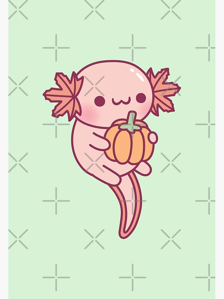 900+ Riri axolotl ideas  axolotl, riri, cute drawings