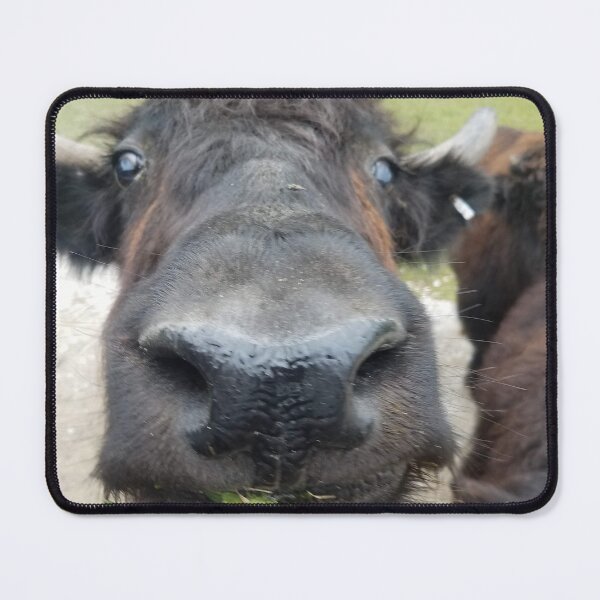 Item preview, Tibetan Yak Eating Grass designed and sold by MinaBohl.