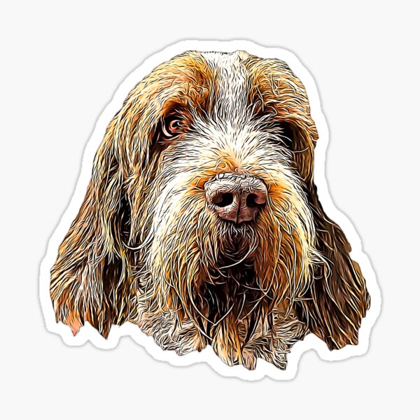 Italian sales spinone gifts