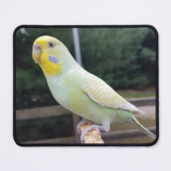 Item preview, Yellow & Green Parakeet designed and sold by MinaBohl.
