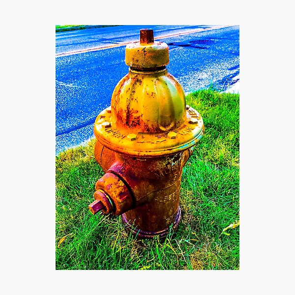 an expression of our sincerity (3:4) Photographic Print
