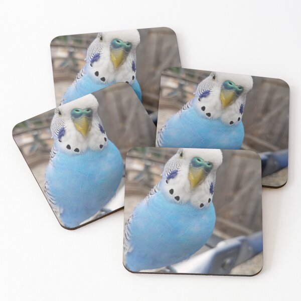 Item preview, Close-up of a Blue Parakeet designed and sold by MinaBohl.