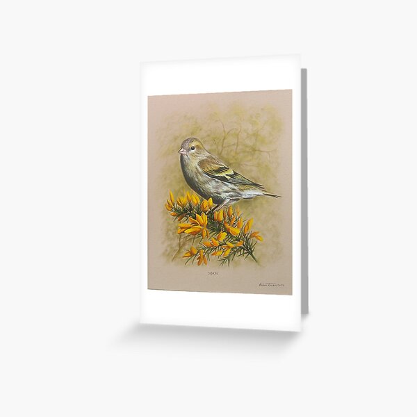 Siskin bird Greeting Card