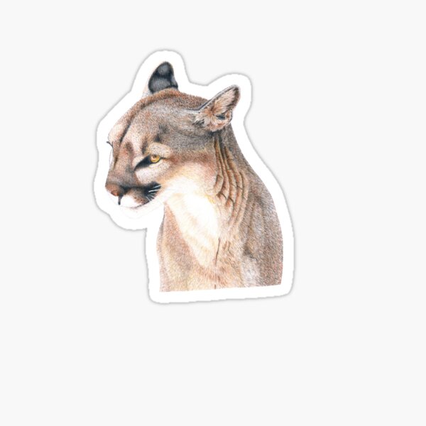 Item preview, Mountain lion designed and sold by YuNikDraw.