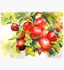 Red abundance Poster