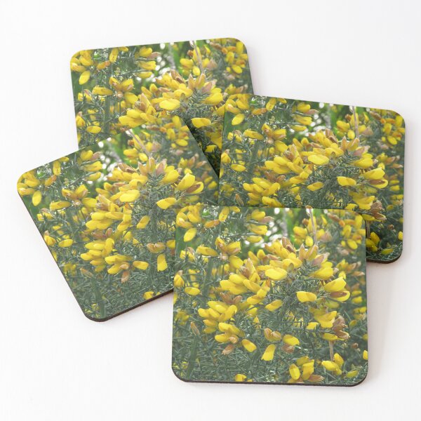 Item preview, Gorse flowers designed and sold by greentiger1.